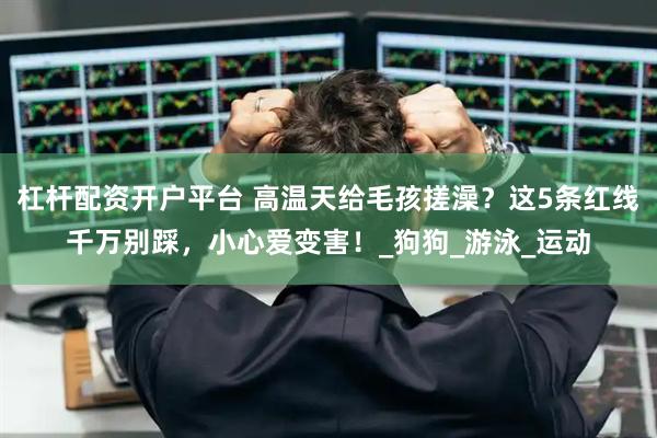 杠杆配资开户平台 高温天给毛孩搓澡？这5条红线千万别踩，小心爱变害！_狗狗_游泳_运动