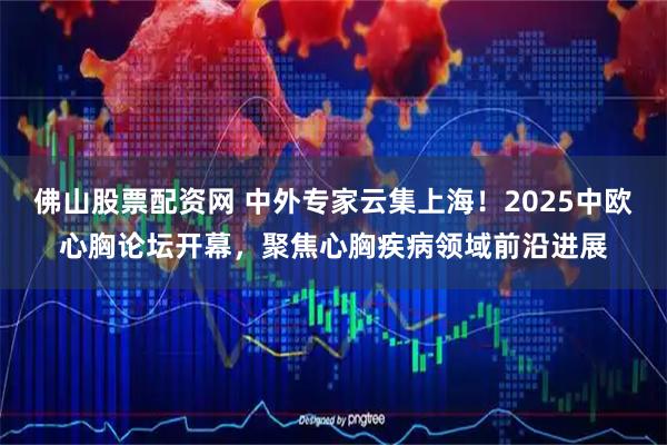 佛山股票配资网 中外专家云集上海！2025中欧心胸论坛开幕，聚焦心胸疾病领域前沿进展