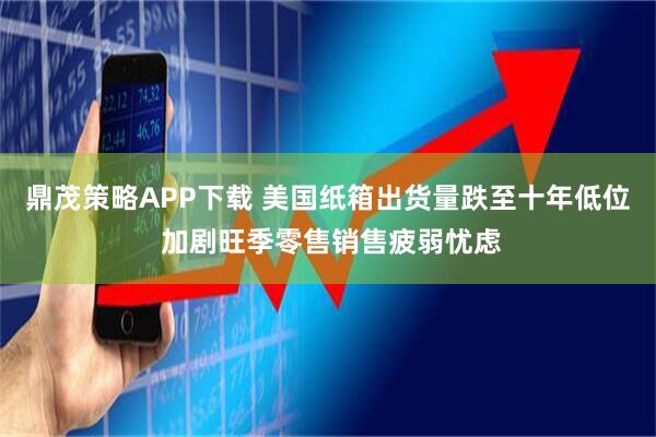 鼎茂策略APP下载 美国纸箱出货量跌至十年低位 加剧旺季零售销售疲弱忧虑