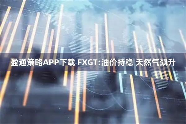 盈通策略APP下载 FXGT:油价持稳 天然气飙升
